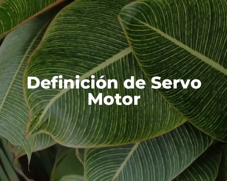 Definición de Servo Motor