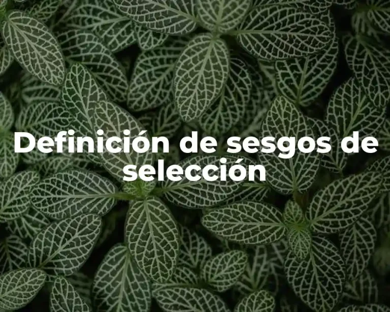 Definición de sesgos de selección