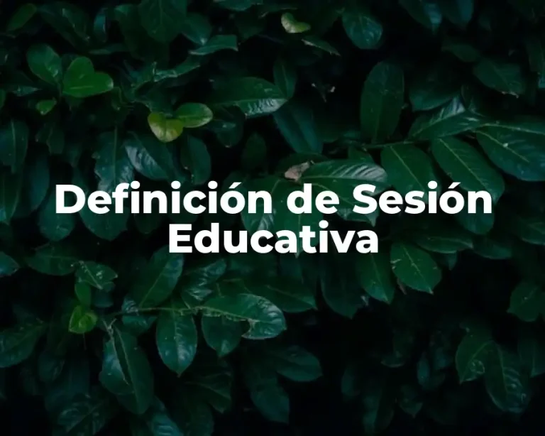 Definición de Sesión Educativa