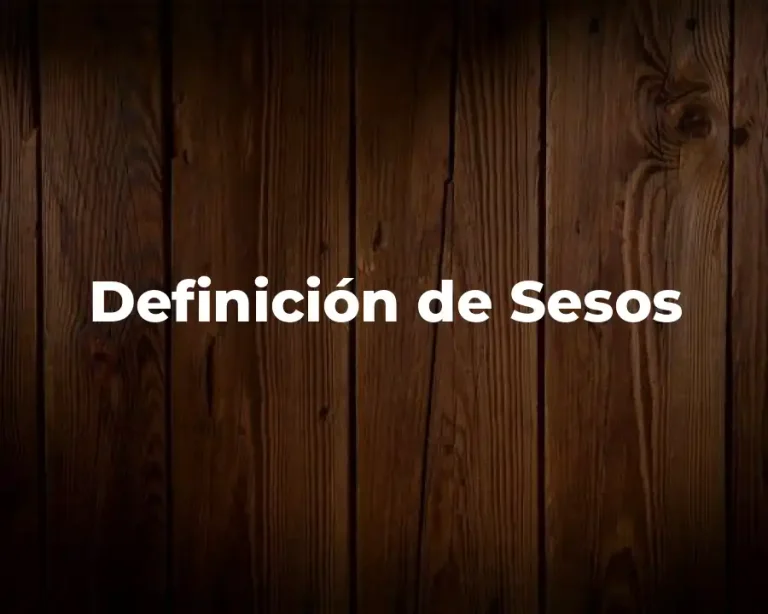 Definición de Sesos