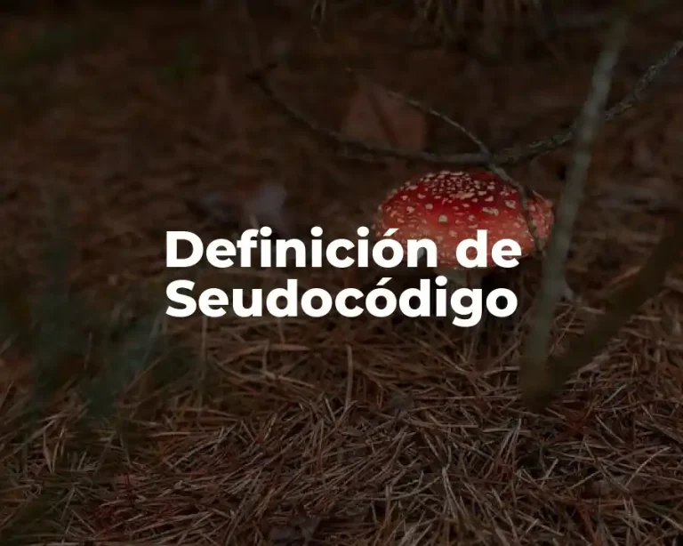 Definición de Seudocódigo
