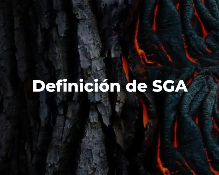 Definición de SGA