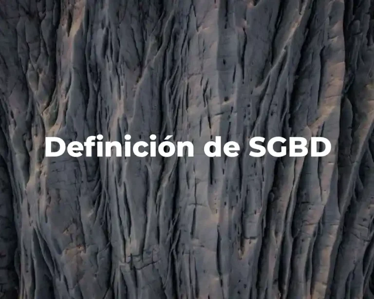 Definición de SGBD
