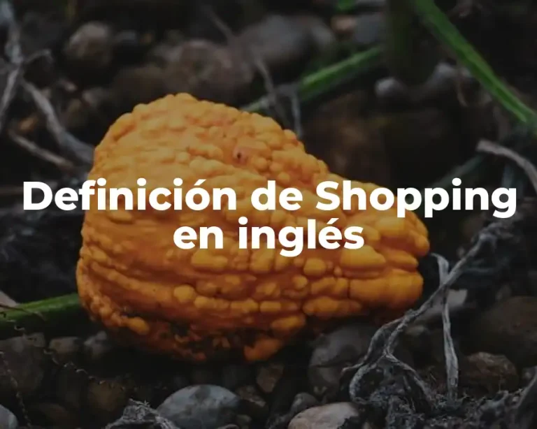 Definición de Shopping en inglés