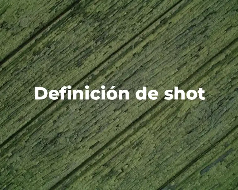 Definición de shot