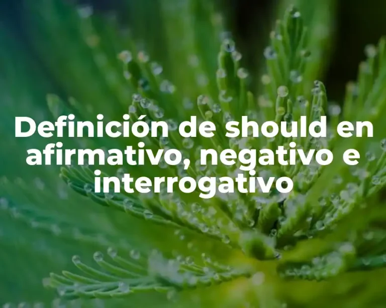 Definición de should en afirmativo, negativo e interrogativo