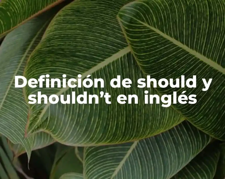 Definición de should y shouldn’t en inglés