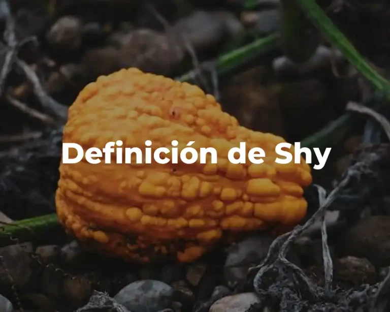 Definición de Shy
