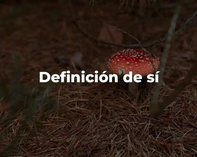Definición de sí