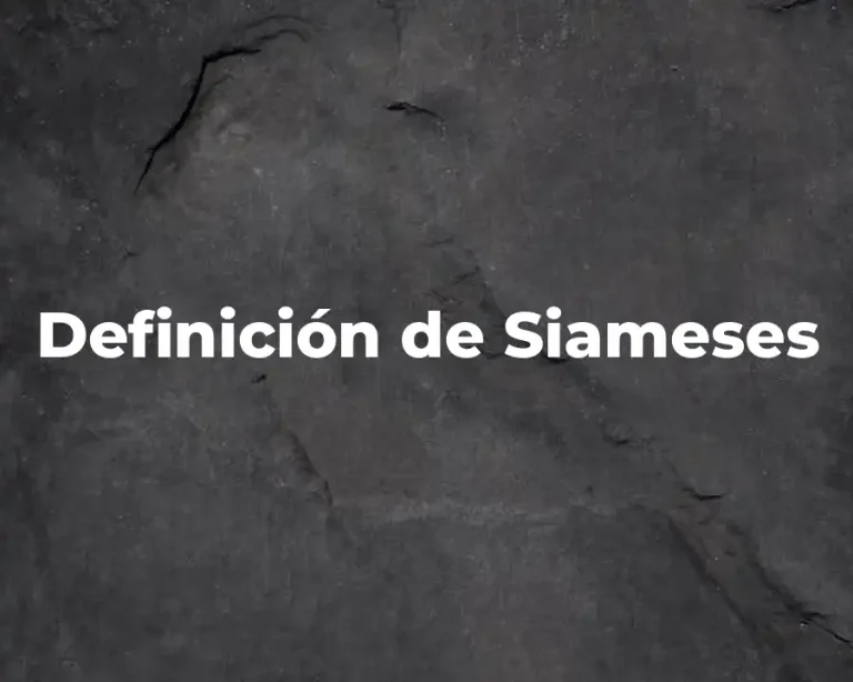 Definición de Siameses