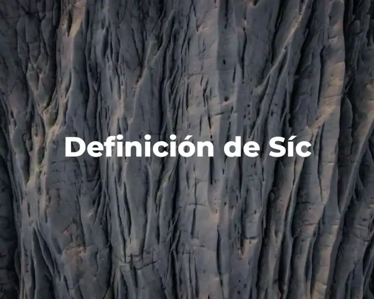 Definición de Síc