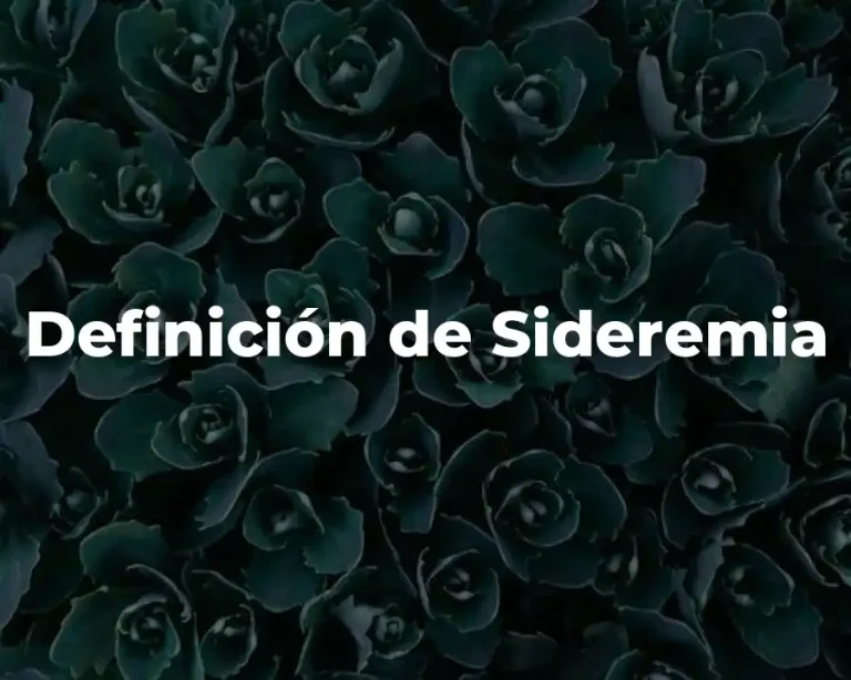 Definición de Sideremia