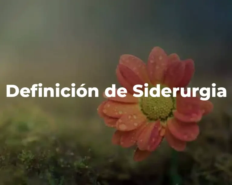 Definición de Siderurgia