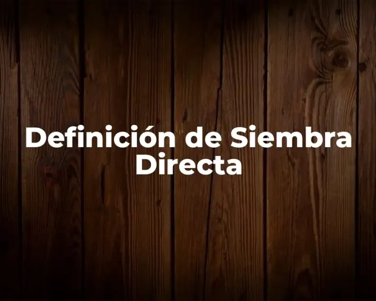 Definición de Siembra Directa