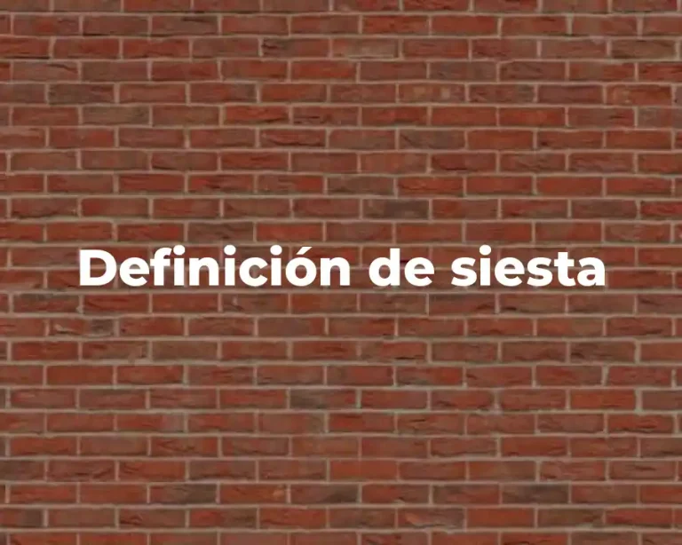 Definición de siesta