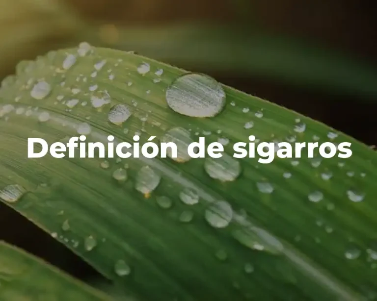 Definición de sigarros