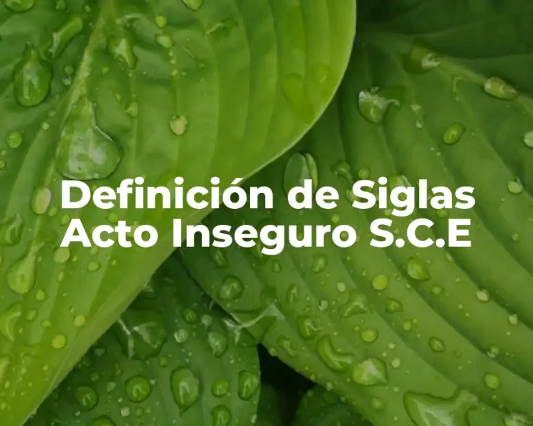 Definición de Siglas Acto Inseguro S.C.E
