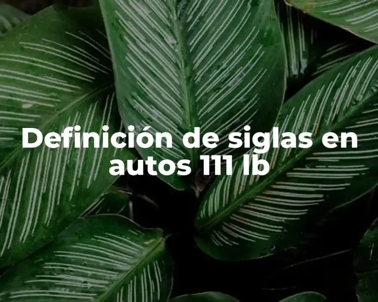 Definición de siglas en autos 111 lb