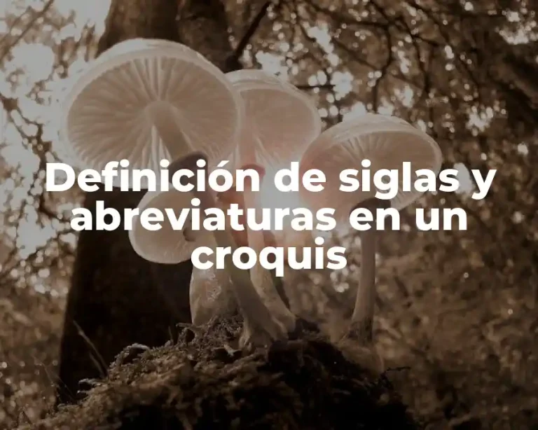 Definición de siglas y abreviaturas en un croquis