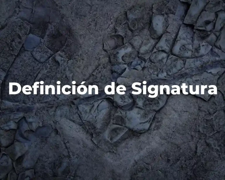 Definición de Signatura
