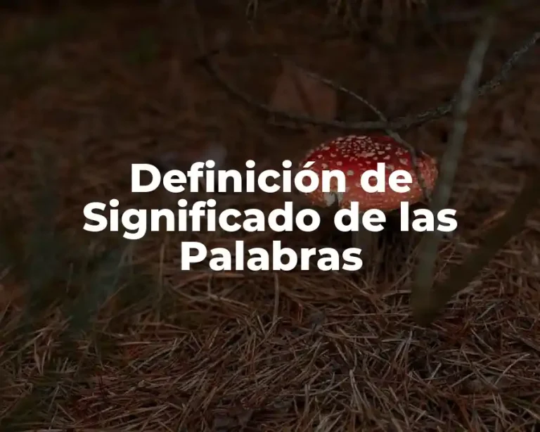 Definición de Significado de las Palabras