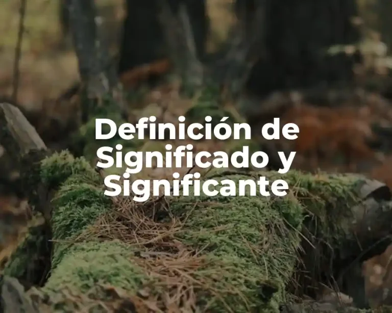 Definición de Significado y Significante
