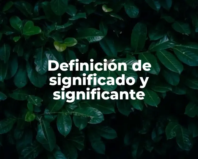 Definición de significado y significante