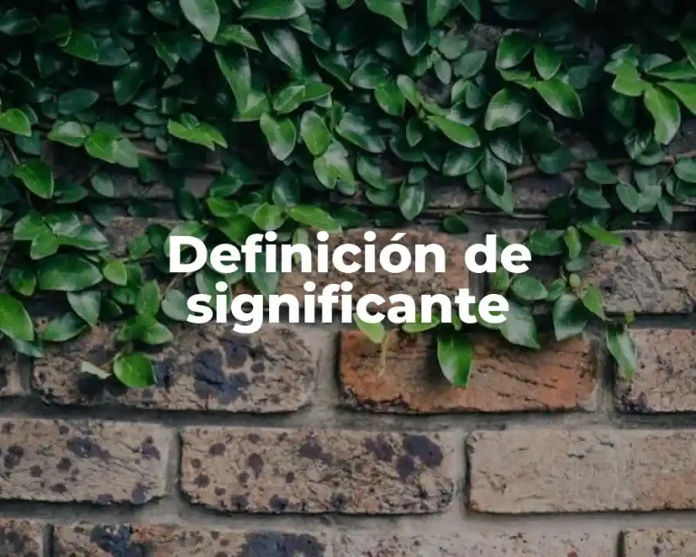 Definición de significante