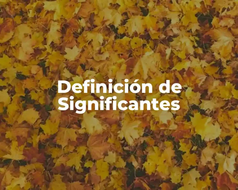 Definición de Significantes