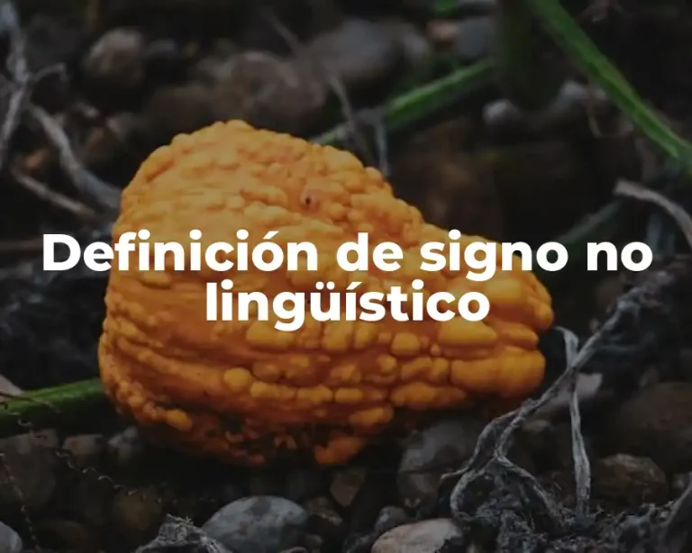 Definición de signo no lingüístico