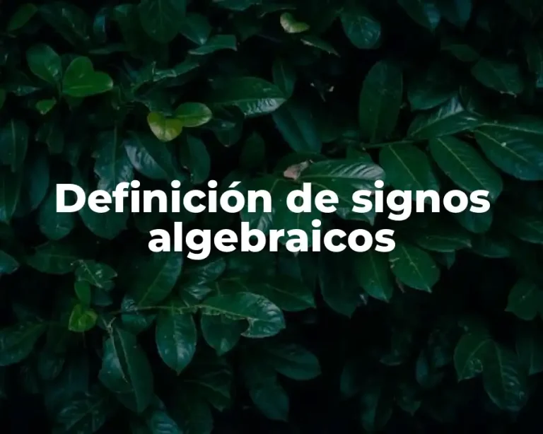 Definición de signos algebraicos