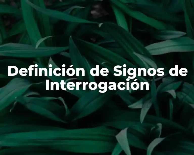 Definición de Signos de Interrogación