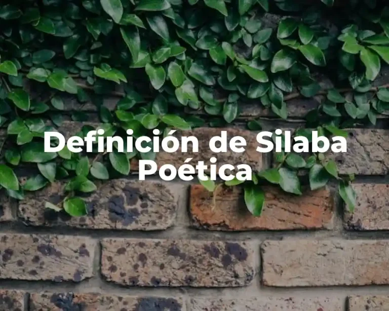 Definición de Silaba Poética