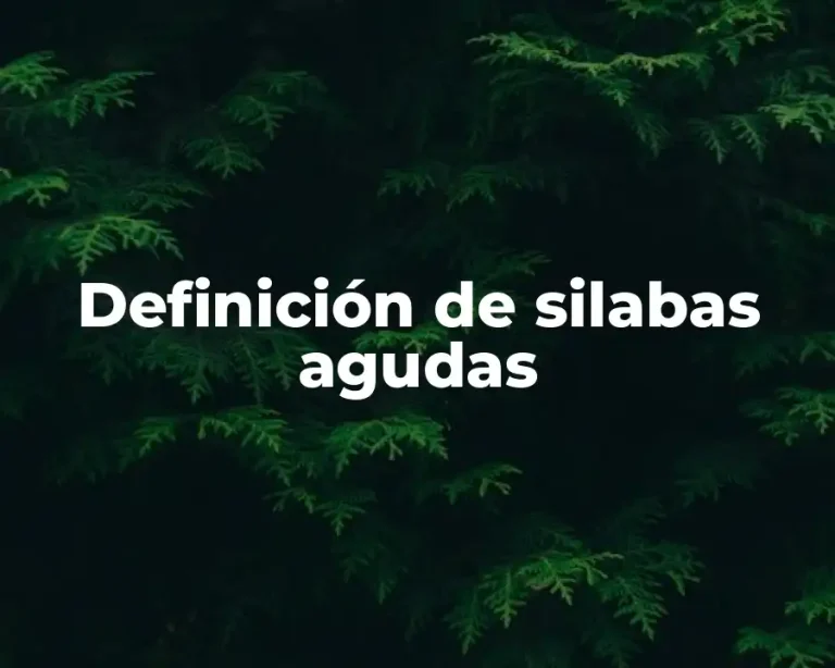 Definición de silabas agudas