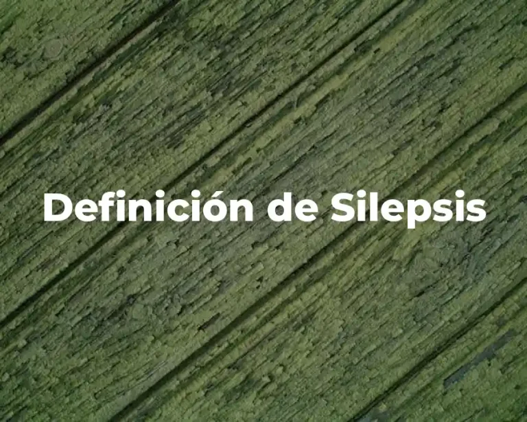 Definición de Silepsis