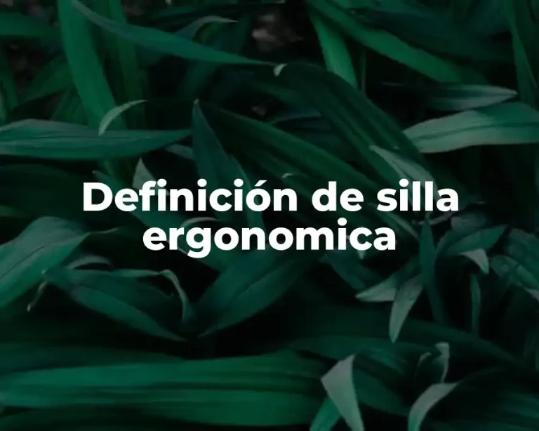 Definición de silla ergonomica