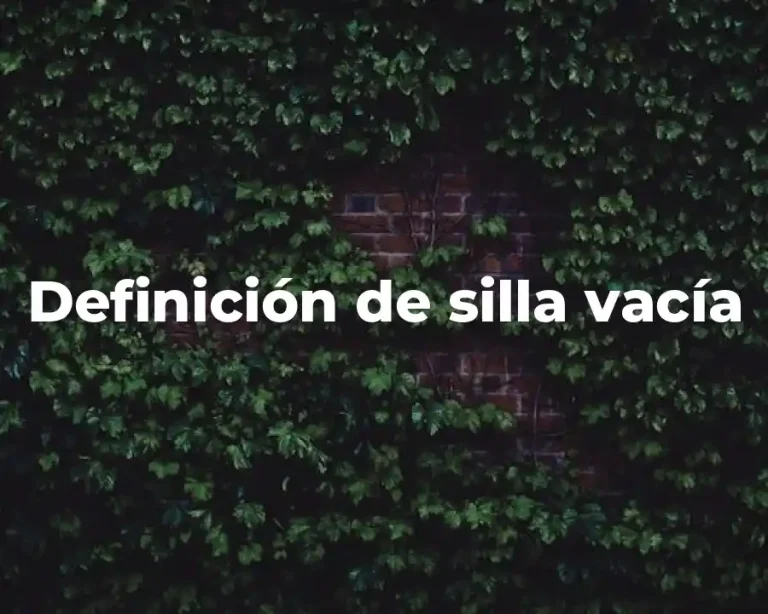 Definición de silla vacía
