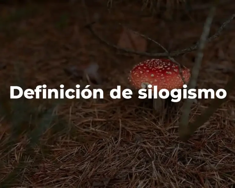 Definición de silogismo