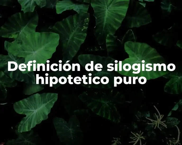 Definición de silogismo hipotetico puro