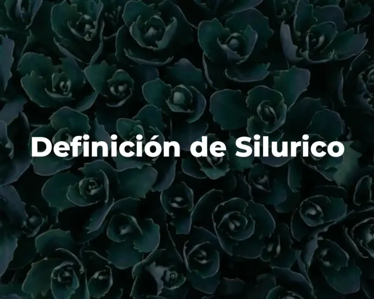 Definición de Silurico