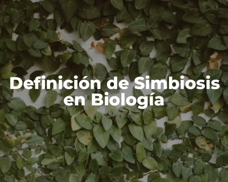 Definición de Simbiosis en Biología
