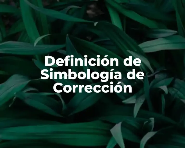 Definición de Simbología de Corrección