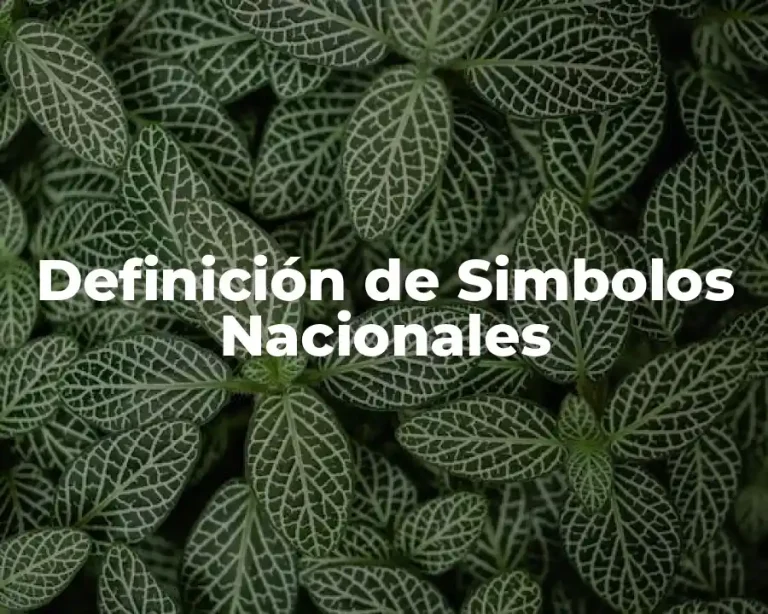 Definición de Simbolos Nacionales