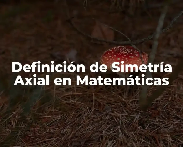 Definición de Simetría Axial en Matemáticas