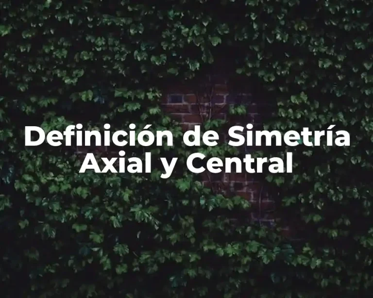Definición de Simetría Axial y Central