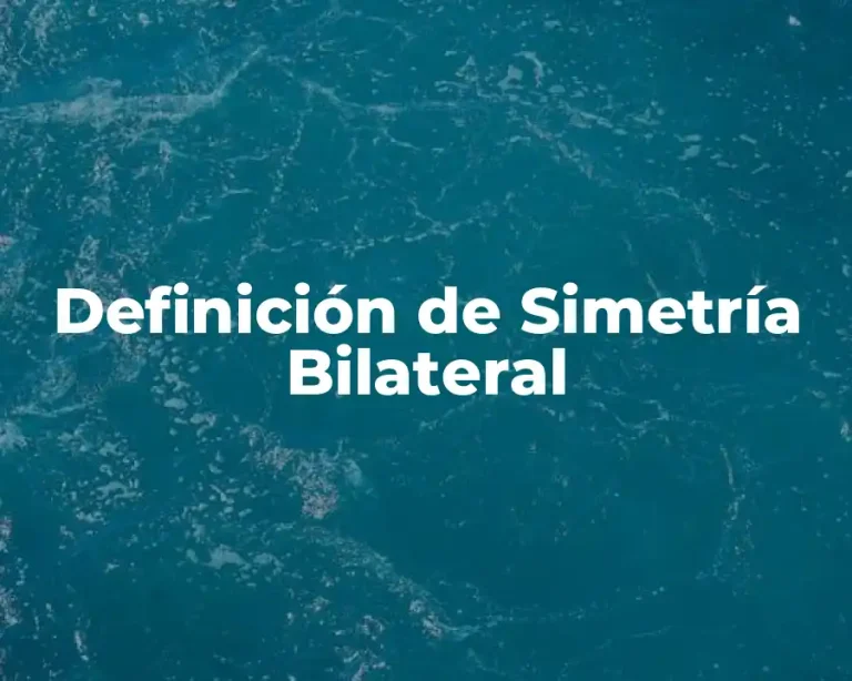 Definición de Simetría Bilateral