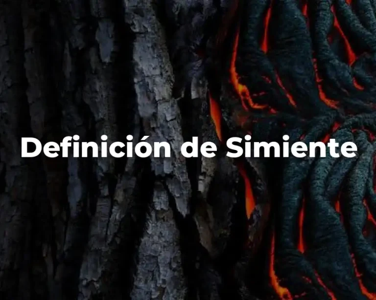 Definición de Simiente