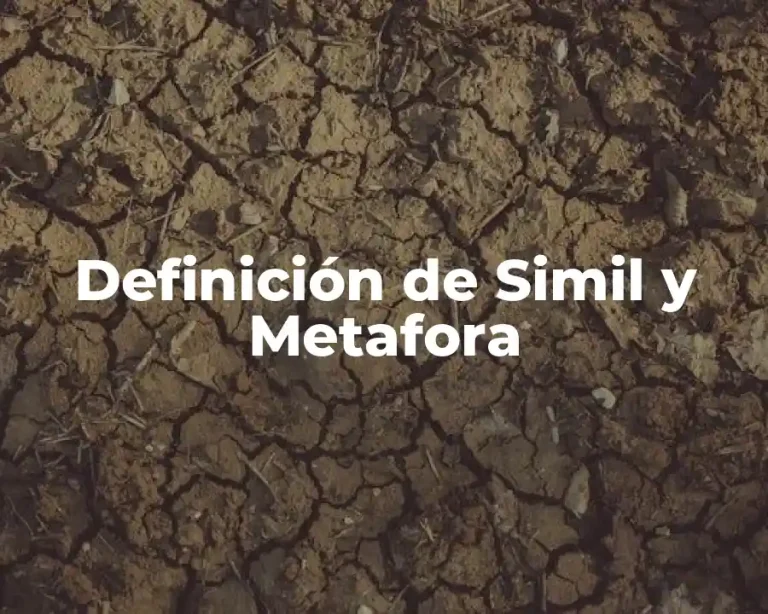 Definición de Simil y Metafora