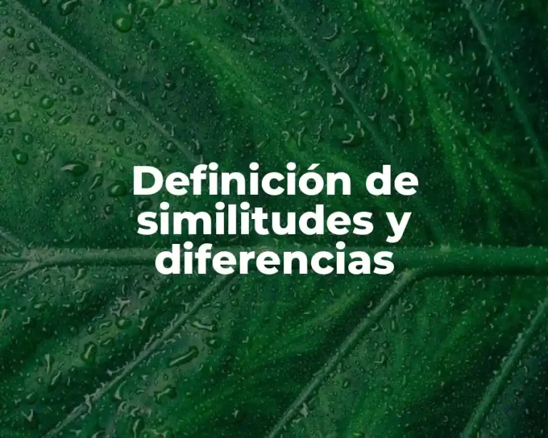 Definición de similitudes y diferencias