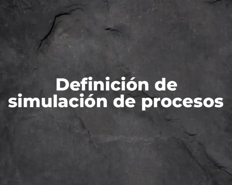 Definición de simulación de procesos